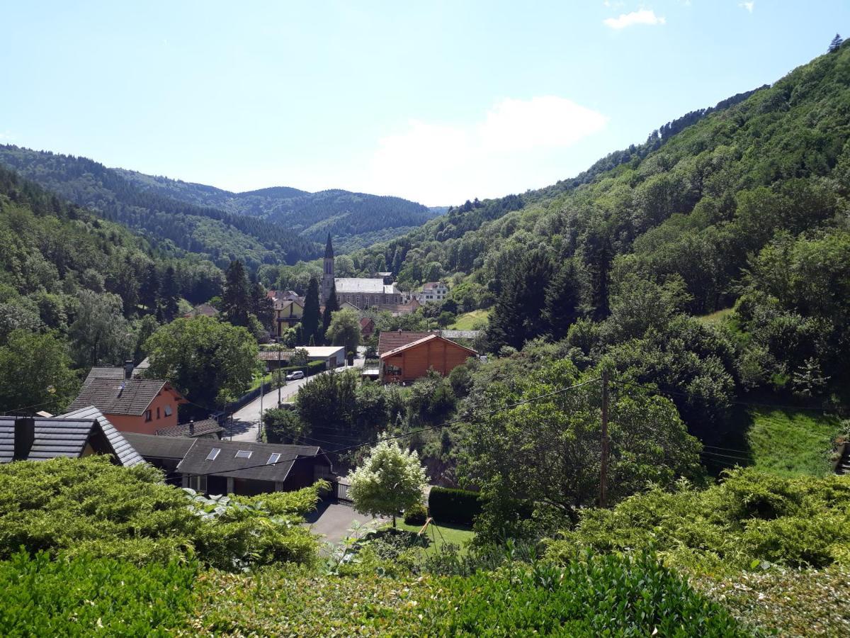 Un Air D'Alsace Villa Rimbach-près-Guebwiller Exteriör bild