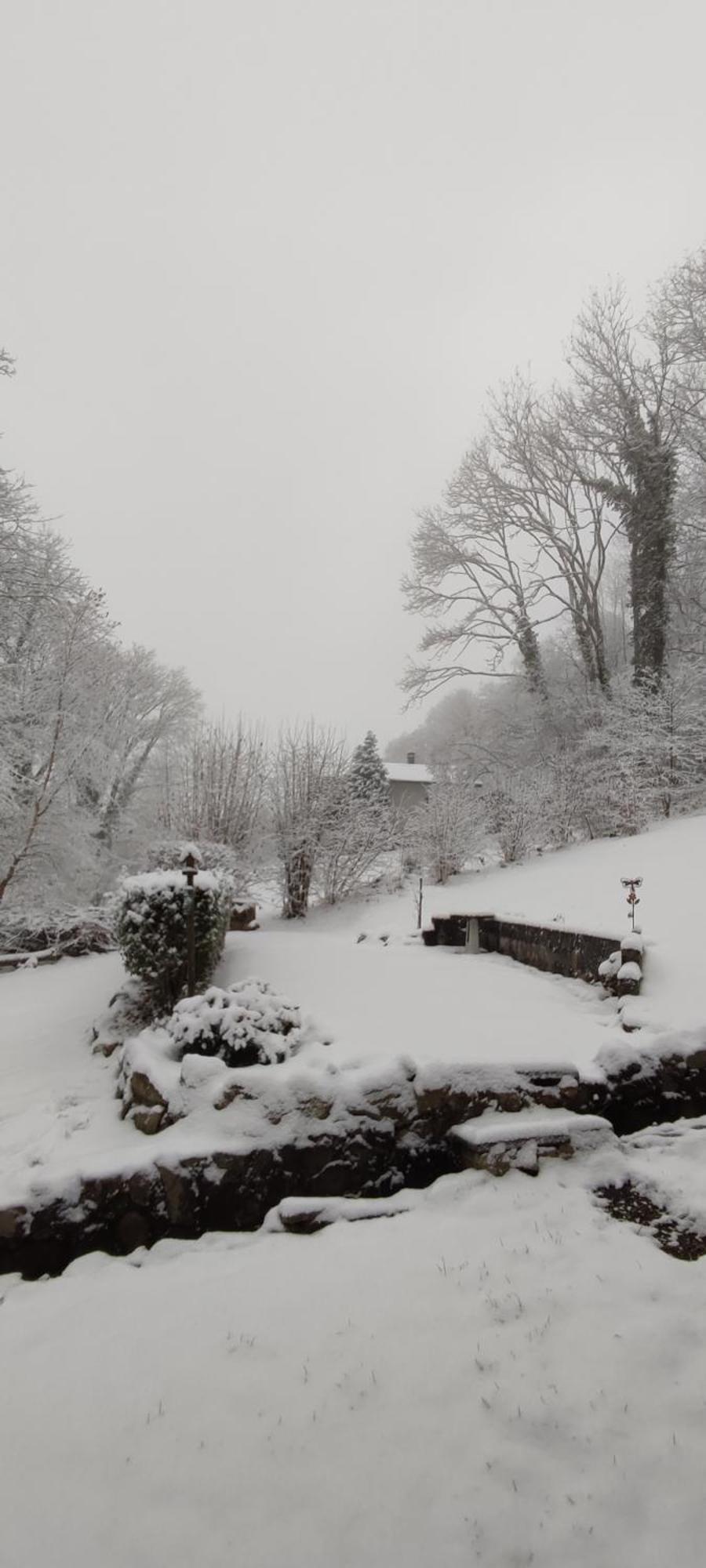 Un Air D'Alsace Villa Rimbach-près-Guebwiller Exteriör bild
